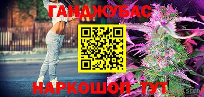 прущие грибы Партизанск