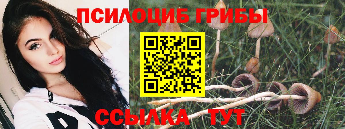 Псилоцибиновые грибы мухоморы Родники