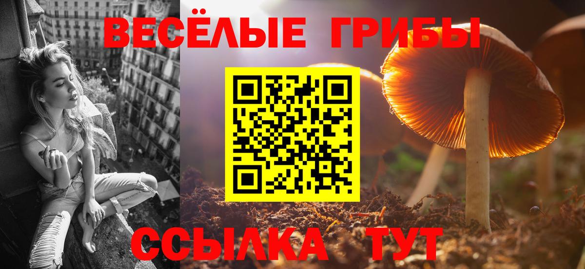 Галлюциногенные грибы мухоморы  Галлюциногенные грибы Psilocybine cubensis  Родники  магазин продажи наркотиков  Вход с VPN 